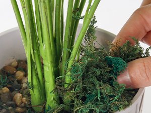 artificial Hanging Plants