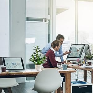 tabletop plant desk plant office decor