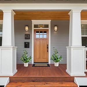 garden plant outdoor plant 