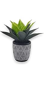 Derlily Artificial Plants Indoor tequila plant