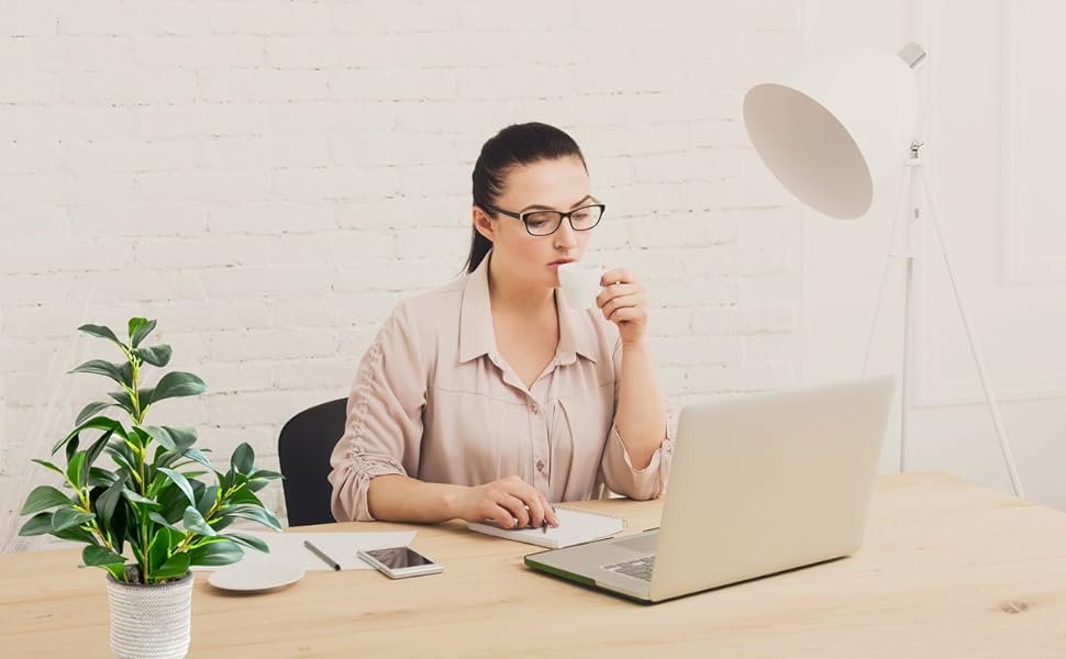 office decor plant real looking