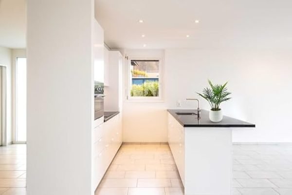 Fake Plants, Artificial Plants Indoor for Room Decor, Small Faux Plants Indoor, Desk Plant for Office, Artificial Palm Plants, Artificial Plant & Flowers, Fake Potted Plants Decor, Small Plant