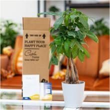 housewarming gift birthday gift anniversary gift mothers day gift for her women men couples wedding