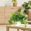 Faux Plants Indoor with Ceramic Pots, Artificial Small Fake Plants with Pothos for Home Decor Fake Potted Plant for Living Room Shelf Home Office Decor（White Ceramic Pot）