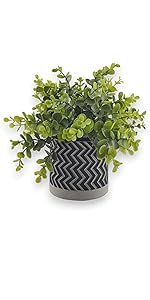 Derlily Small Artificial Plants Indoor Moncy leaf