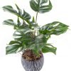 16 inch Artificial Indoor Plants Office Desk Faux Plant Peperomia Leaf Ficus Plant Realistic Small Fake Farmhouse Plants for Home Kitchen Bathroom Bedroom Evergreen Decor