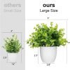 rtificial Potted Plants Mini Fake Plants in Pots, 4 Pack Medium Eucalyptus Potted Faux Decorative Grass Plant with White Plastic Pot for Home Decor, Indoor, Office, Desk, Table Decoration