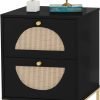 Rattan Nightstand, End Side Table with 2 Rattan Drawers, Wood Square Bedside Table with Storage, Accent Sofa Table for Home Office Living Room Bedroom, White