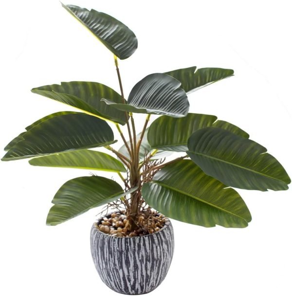 16 inch Artificial Indoor Plants Office Desk Faux Plant Peperomia Leaf Ficus Plant Realistic Small Fake Farmhouse Plants for Home Kitchen Bathroom Bedroom Evergreen Decor
