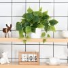 Faux Plants Indoor with Plastic Pots, Realistic Small Fake Plants, Fake Plants with Pothos, Fake Potted Plants, Artificial Plant for Home Shelf Bathroom Kitchen Office Indoor Outdoor Decor