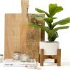 Artificial Plant for Desk Decor | 15.5" Fake Plant with Stand | Faux Plant Indoor | Desktop Plant | Fiddle Leaf Faux Plant for Tabletop | Small Artificial Plant Indoor