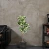 Artificial Rubber Tree Plant 43in Tall Faux Ficus Tree Potted Fake Tropical Decorative House Large Floor Artificial Plants for Home Office Store Room Decor