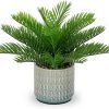 Faux Plant Indoor in Ceramic Pot 13" Artificial Potted Fern Fake House Plants for Desk Office Bathroom Garden Decoration