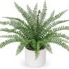 Faux Plant Indoor in Ceramic Pot 13" Artificial Potted Fern Fake House Plants for Desk Office Bathroom Garden Decoration