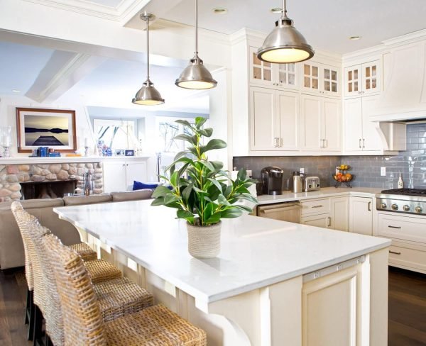 16 inch Artificial Indoor Plants Office Desk Faux Plant Peperomia Leaf Ficus Plant Realistic Small Fake Farmhouse Plants for Home Kitchen Bathroom Bedroom Evergreen Decor