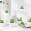 6 Packs Fake Plants Small Realistic Succulents Plants Artificial for Home Room Decor Indoor