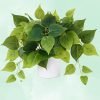 Faux Plants Indoor with Plastic Pots, Realistic Small Fake Plants, Fake Plants with Pothos, Fake Potted Plants, Artificial Plant for Home Shelf Bathroom Kitchen Office Indoor Outdoor Decor