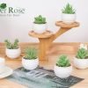 6 Packs Fake Plants Small Realistic Succulents Plants Artificial for Home Room Decor Indoor