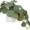 Fake Plants Indoor 8 Inch Artificial Monstera Leaves in Ceramic Pot - Faux Potted Tropical Palm Plant for Home Aesthetic Decor Living Room Shelf Office
