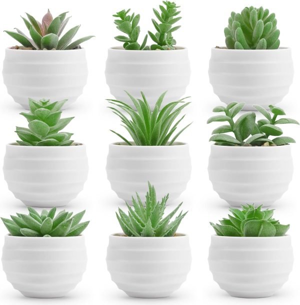 6 Packs Fake Plants Small Realistic Succulents Plants Artificial for Home Room Decor Indoor