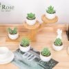 6 Packs Fake Plants Small Realistic Succulents Plants Artificial for Home Room Decor Indoor