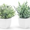 81y6aeJ5I0L._AC_SL1500 2 Packs Fake Plants Mini Artificial Greenery Potted Plants for Home Decor Indoor Office Table Room Farmhouse