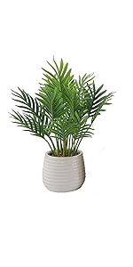 Derlily Artificial Palm Plants for Home and Office Decor