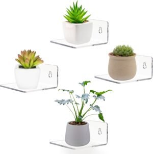 Acrylic Small Adhesive Wall Shelves,Mini Floating Shelves,Acrylic Display Shelves,Ledges for Pop Figures,Plant,Picture Photo Modern Wall for Bedroom Decor Living Room
